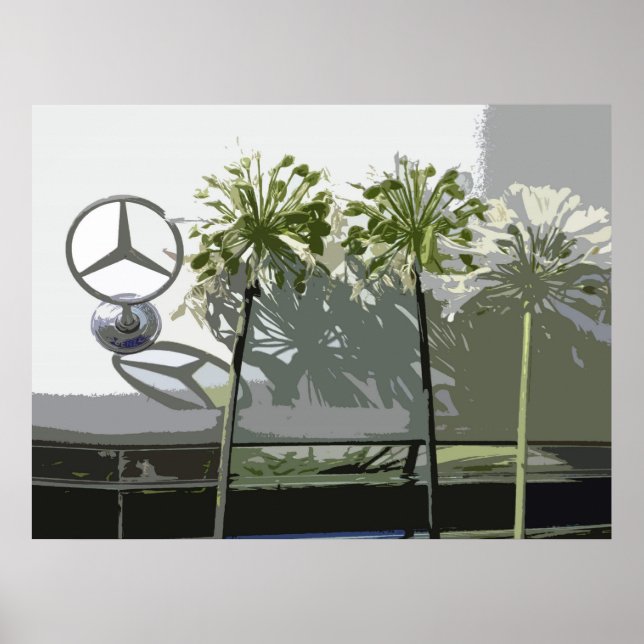 MERCEDES & AGAPANTHUS POSTER (Front)