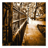 Mercer Fence