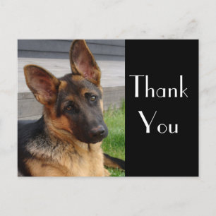 Merci Allemand Berger Chien Chien Chien Pot Carte