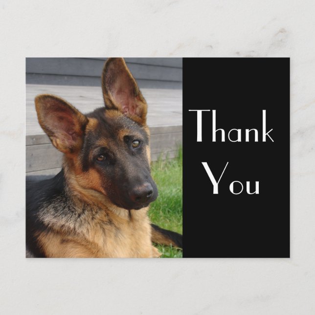 Merci Allemand Berger Chien Chien Chien Pot Carte (Devant)