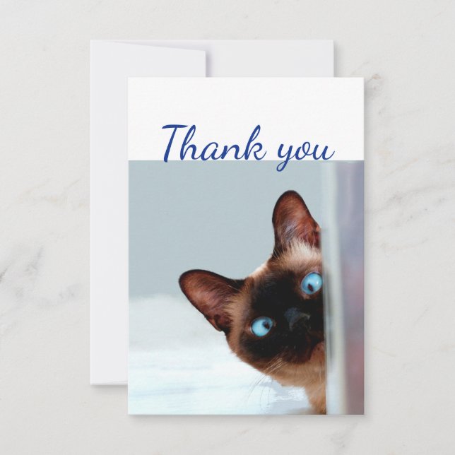 Merci Amusant Curieux Peeking Chat Kitten Animal (Devant)