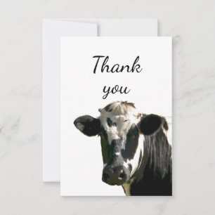 Merci Amusant Curious Holstein Vache à l'extérieur