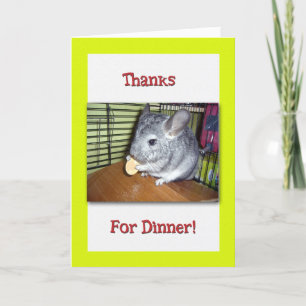 Merci Amusant Pour Dîner Avec Chinchilla Manger