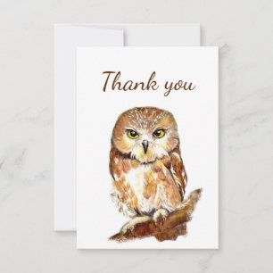 Merci Aquarelle Chouette Oiseau Faune Nature