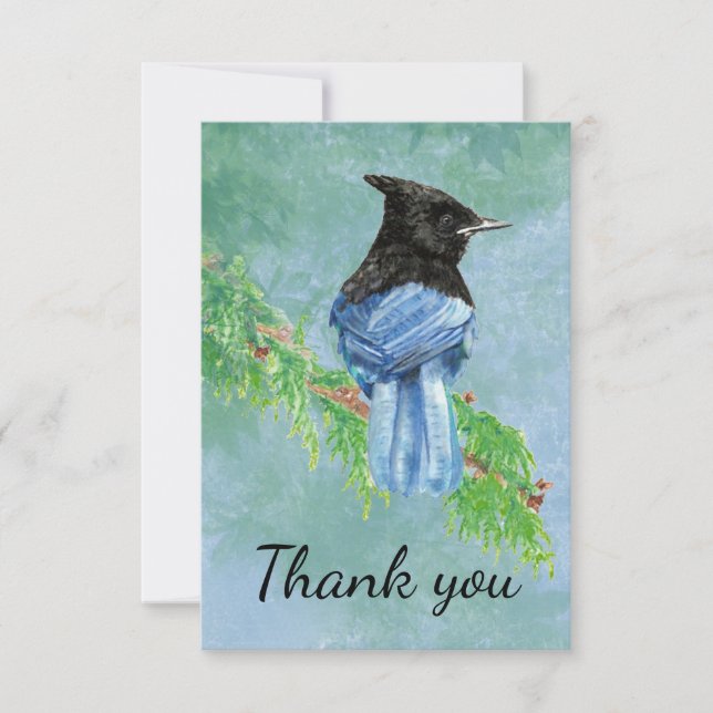Merci Aquarelle Stellar Jay Bird (Devant)