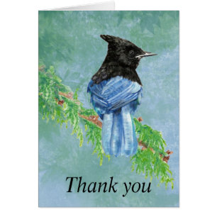 Merci Aquarelle Stellar Jay Bird Nature