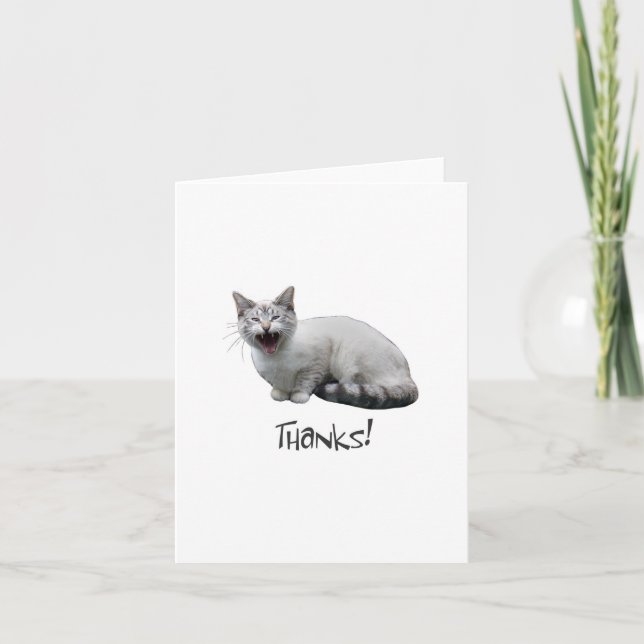 Merci au chat Meowing (Devant)