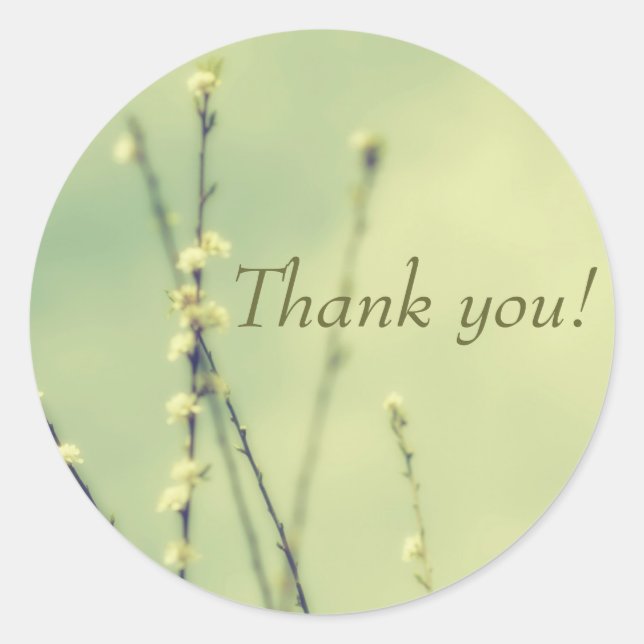 Merci! Autocollant (Devant)