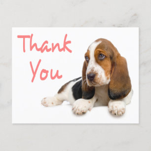 Merci Basset Hound Carte postale de voeux