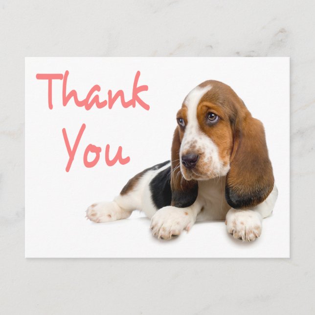Merci Basset Hound Carte postale de voeux (Devant)
