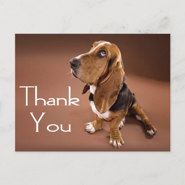 Merci Basset Hound Carte postale de voeux (Devant)