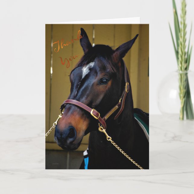 Merci bienveillant cheval d'appréciation merci (Devant)