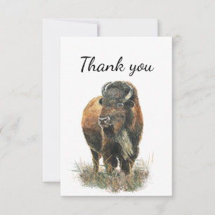 Merci Bison Buffalo Faune Animal Nature Art