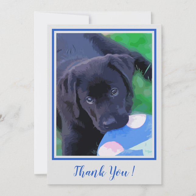 Merci Black Lab Cupe Chien Labrador Chien (Devant)