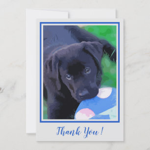 Merci Black Lab Cupe Chien Labrador Chien