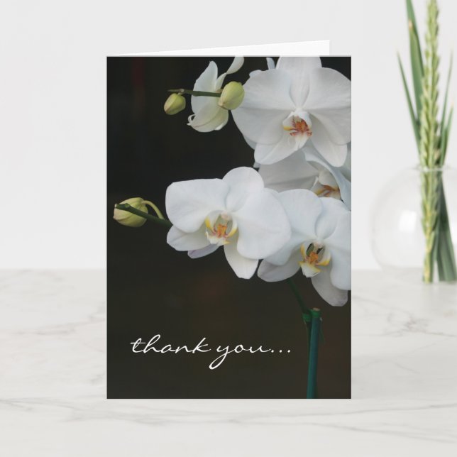 Merci blanc d'orchidées (Devant)