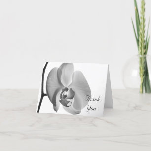Merci blanc orchidée