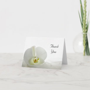 Merci blanc orchidée et voile nuptial