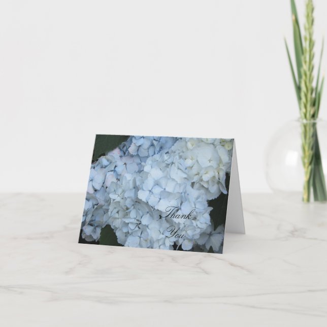 Merci Blue Hydrangea (Devant)
