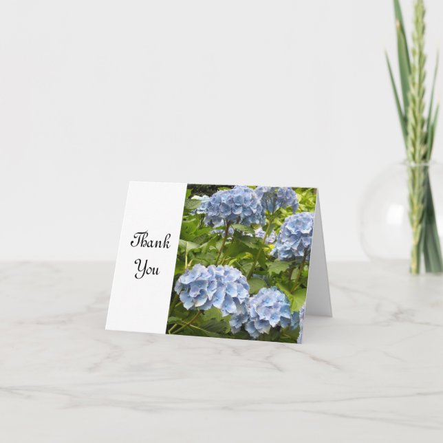 Merci Blue Hydrangea (Devant)