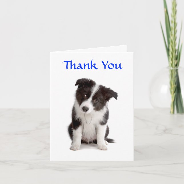 Merci Bordure Collie Puppy Carte de voeux (Devant)