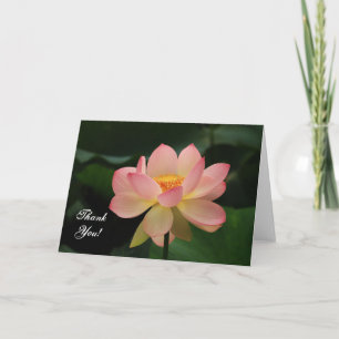 Merci bouddhiste de Lotus Rose Serenity