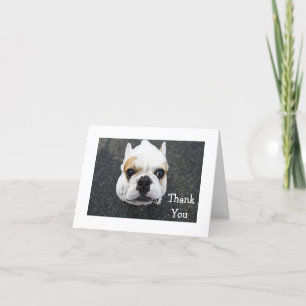 Merci Bulldog Greeting Card - Kindness Verse