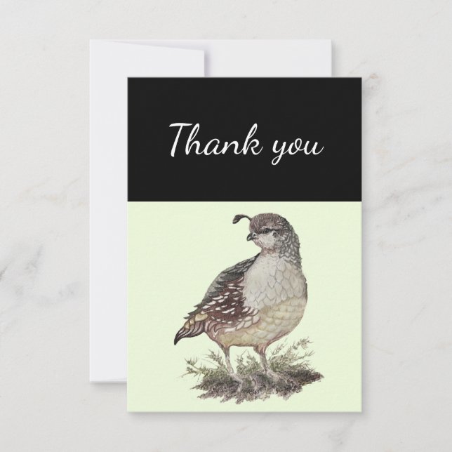 Merci Californie Quail Bird Nature Art (Devant)