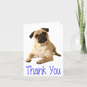 Merci Carlin Chien Chien Chien Vierge Carte de not