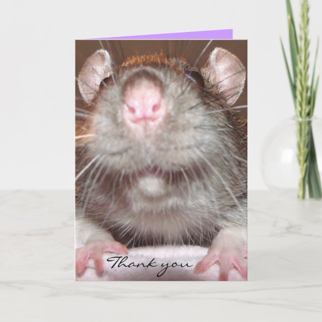 merci carte de rat grinning (Devant)