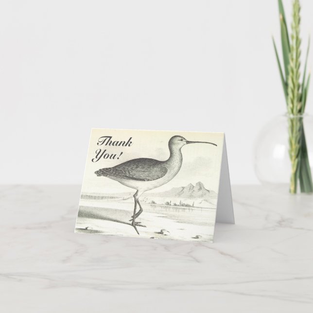 "Merci !" + Carte de remerciements d'oiseaux debou (Devant)