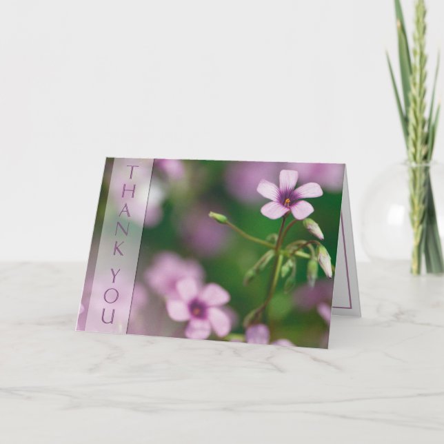 Merci - carte de voeux rose d'oxalide blanche (Devant)