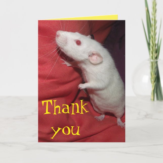 merci carte Dumbo Rat (Devant)