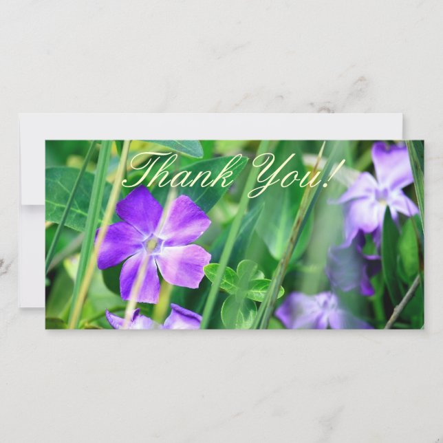 "Merci", carte photo (Devant)