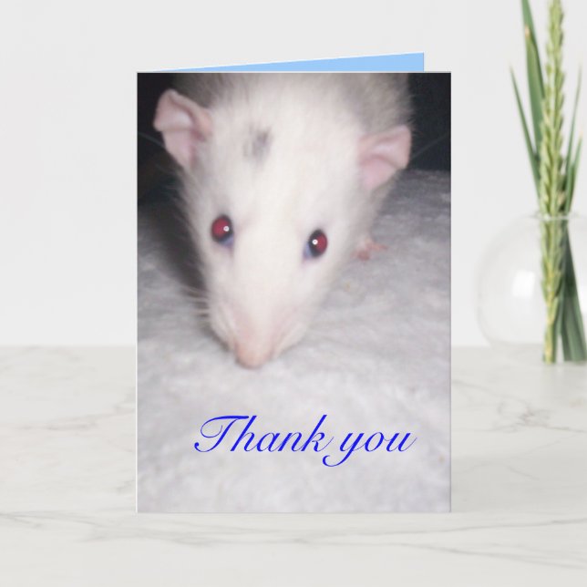 merci carte rat (Devant)