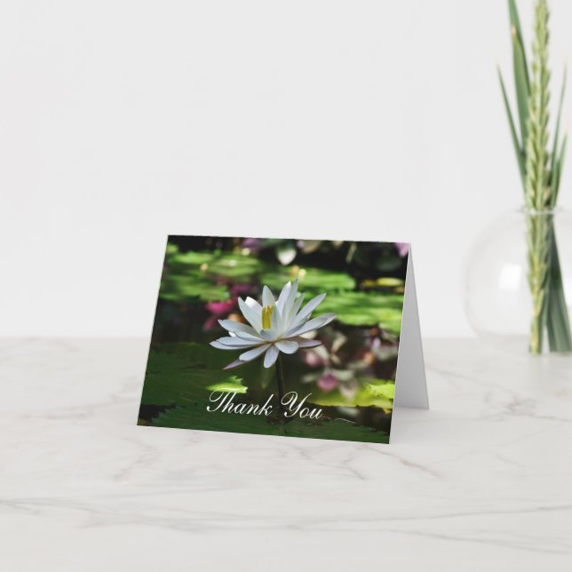 Merci Cartes - Lily d'eau sur l'étang (Devant)