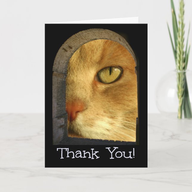 Merci Chat Cute Pour Animaux De Compagnie Carte De (Devant)