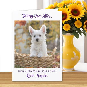 Merci Chien Sitter - Violet - Animal Photo Chien m