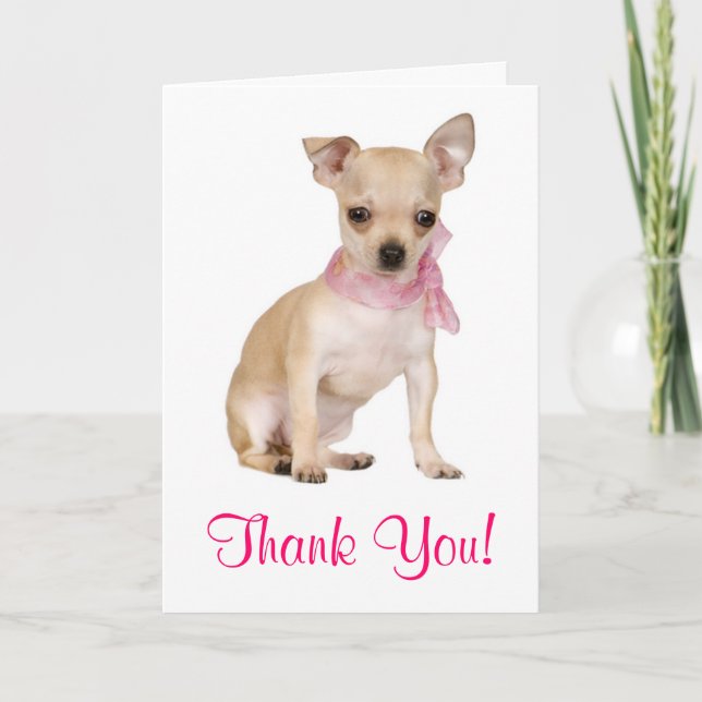Merci Chihuahua Chiot Carte de voeux (Devant)