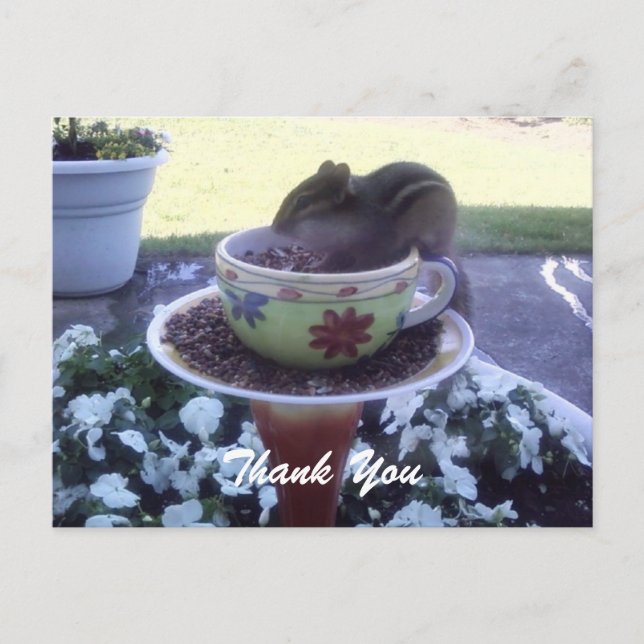 "Merci" Chippy la carte postale Chipmunk (Devant)