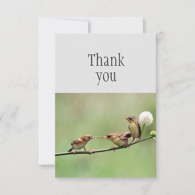 Merci Cute Bird Parent Bébés Oiseaux (Devant)