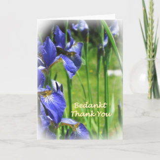 Merci dans néerlandais et anglais