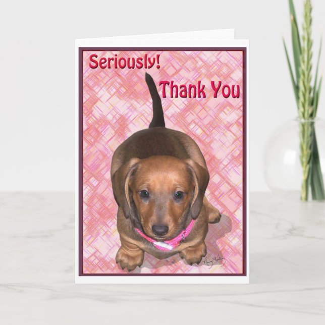 Merci de A little Dachshund Puppy (Devant)
