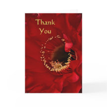 Merci de cactus de secours