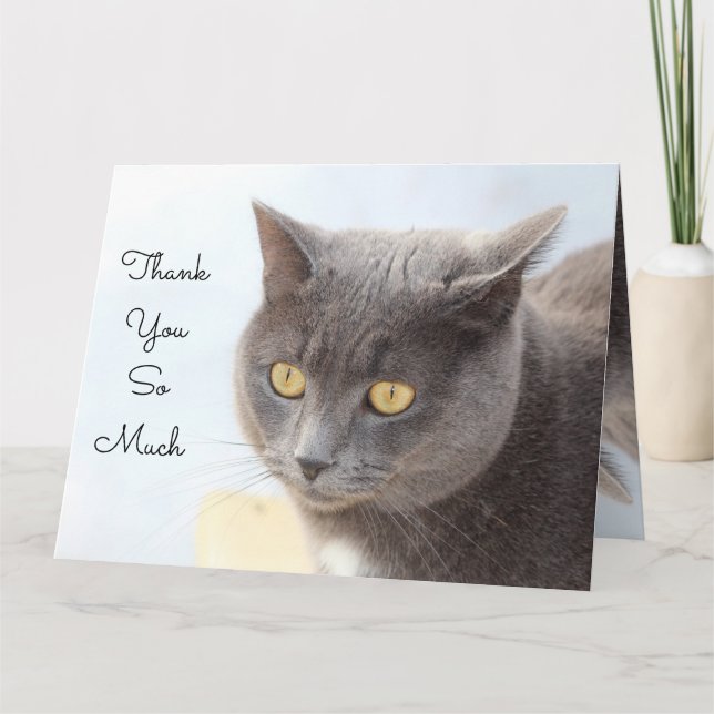 Merci de carte de chat tellement (Devant)