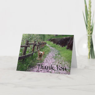 Merci de carte de Yorkshire Terrier