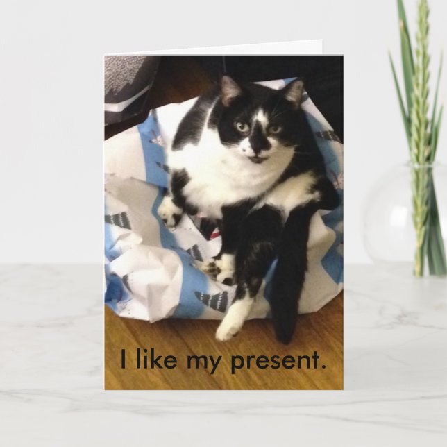 Merci de chat pour mes cartes cadeau de Noël (Devant)