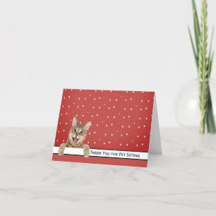 Merci de chat Tabby pour animaux de compagnie