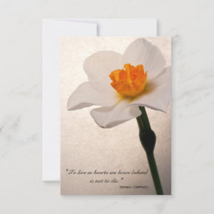 Merci de jonquille de printemps pour votre sympath