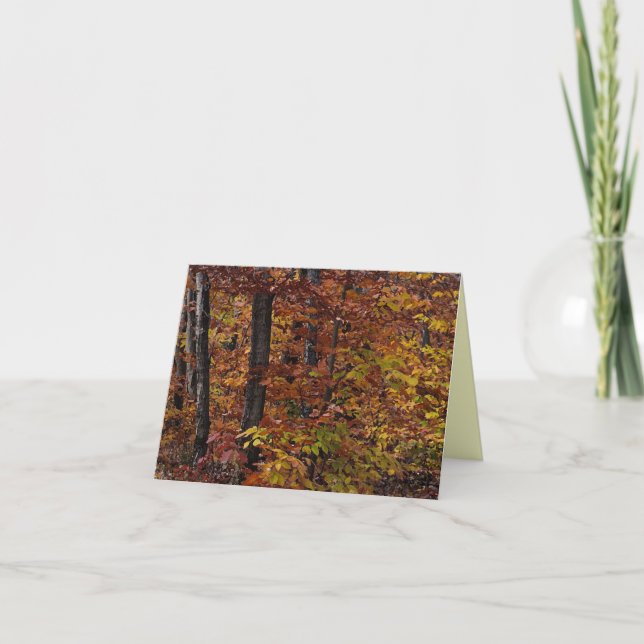 Merci de la forêt de hêtres (Devant)
